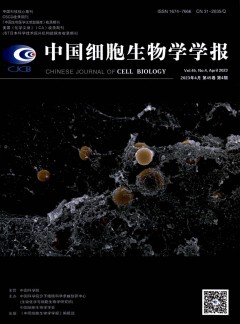 中國細(xì)胞生物學(xué)學(xué)報雜志