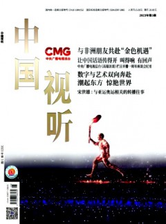 中國視聽雜志
