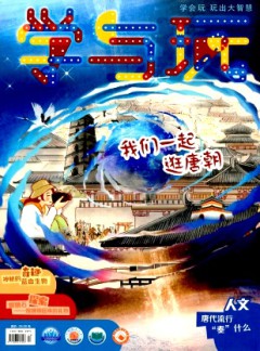 學(xué)與玩雜志